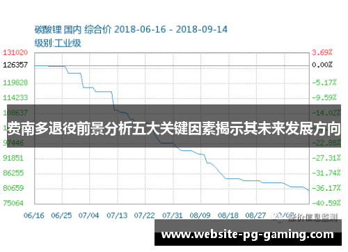 费南多退役前景分析五大关键因素揭示其未来发展方向